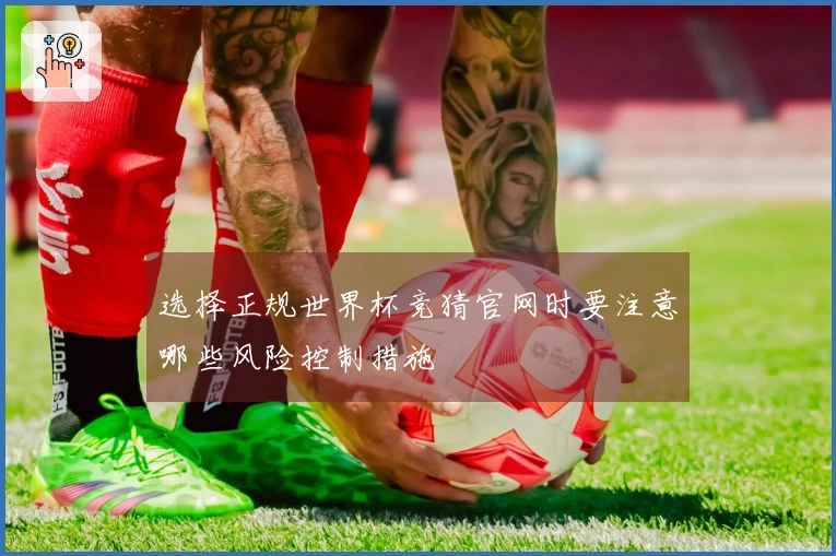 选择正规世界杯竞猜官网时要注意哪些风险控制措施