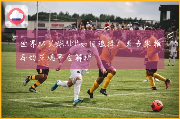 世界杯买球APP如何选择？看专家推荐的正规平台解析